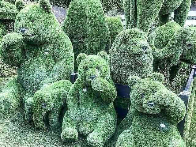 Art of Topiary is the creation of sculptures from fresh shrubs and flowers. | MirrorLog